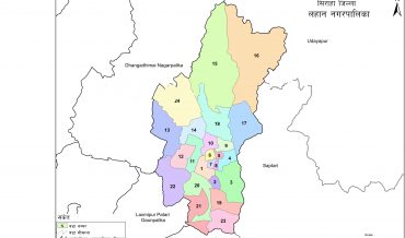 Lahan Municipality Profile | Facts & Statistics