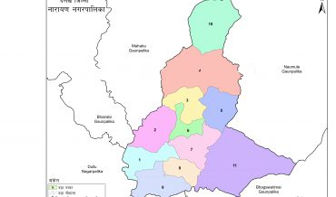 Narayan Municipality Profile | Facts & Statistics