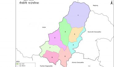 Naubahini Rural Municipality Profile | Facts & Statistics