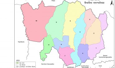 Sainamaina Municipality Profile | Facts & Statistics