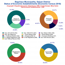 Bagchaur Municipality (Salyan) | Economic Census 2018