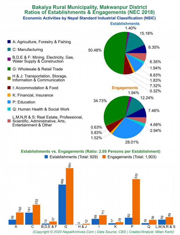 Economic Activities by NSIC Charts of Bakaiya Rural Municipality