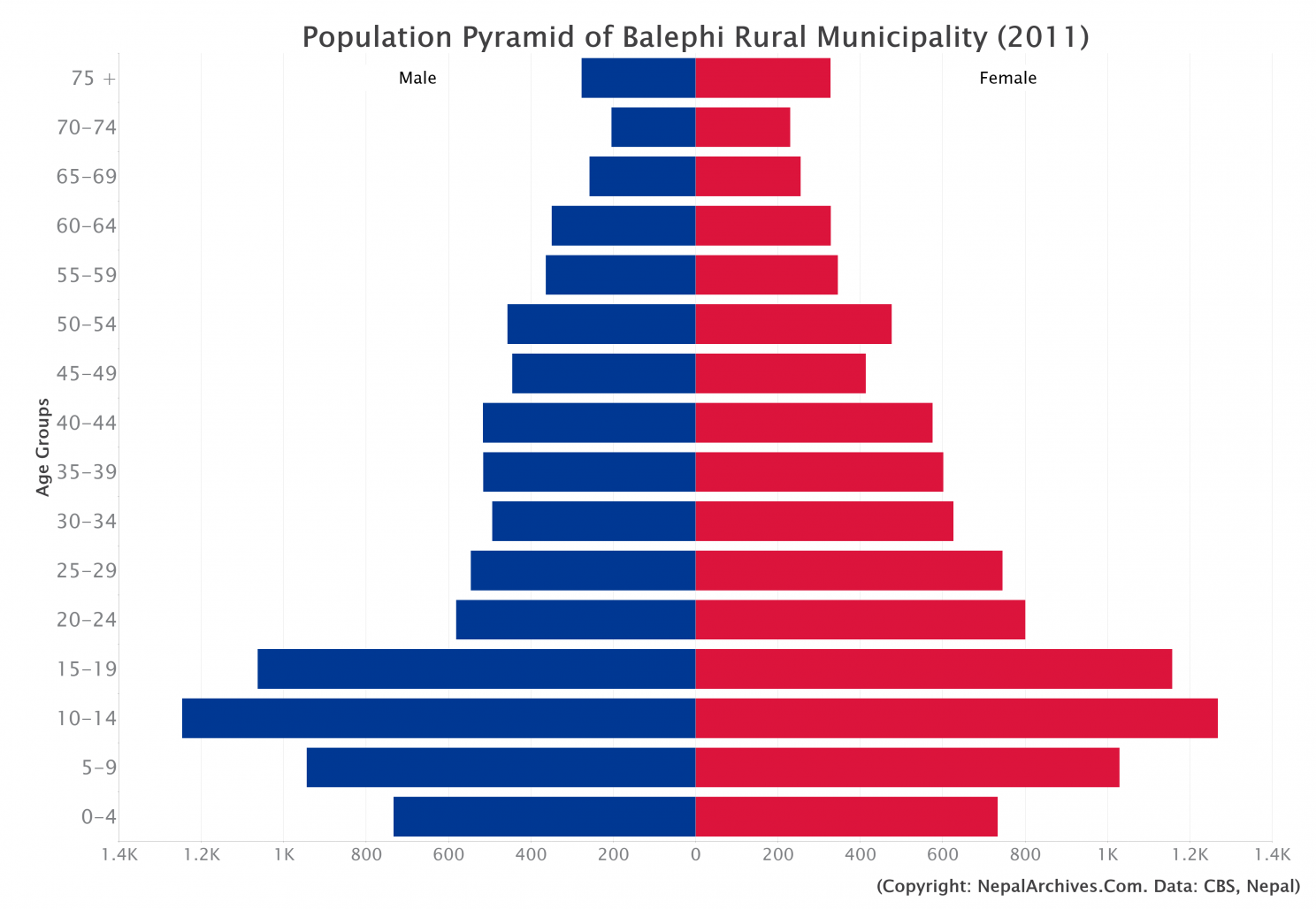 Balephi Rural Municipality Profile | Facts & Statistics – Nepal Archives