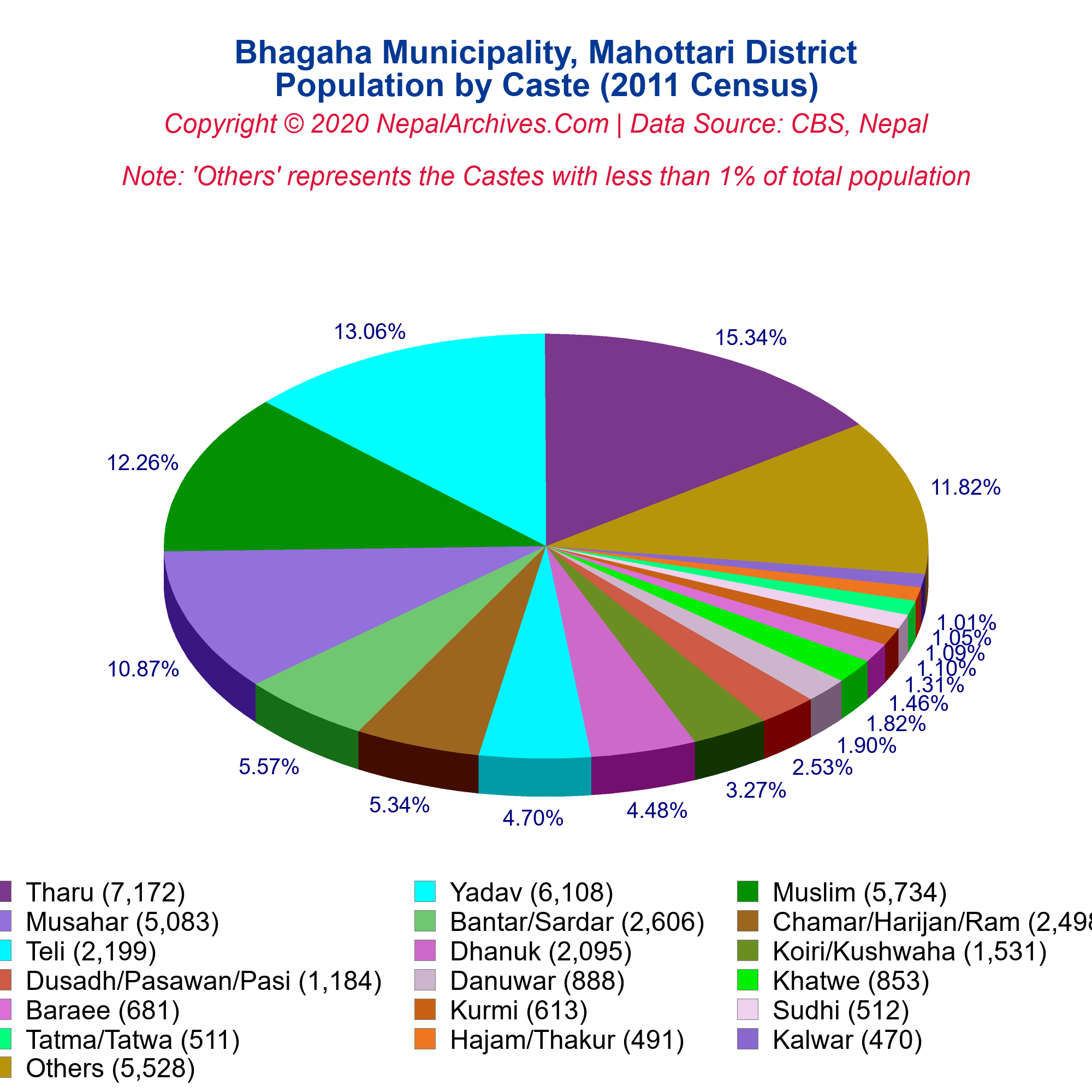 Caste-Based Population Pie Chart of Bhagaha Municipality, Mahottari ...