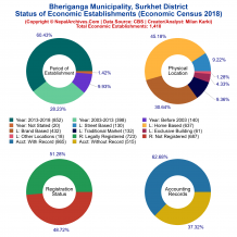 Bheriganga Municipality (Surkhet) | Economic Census 2018