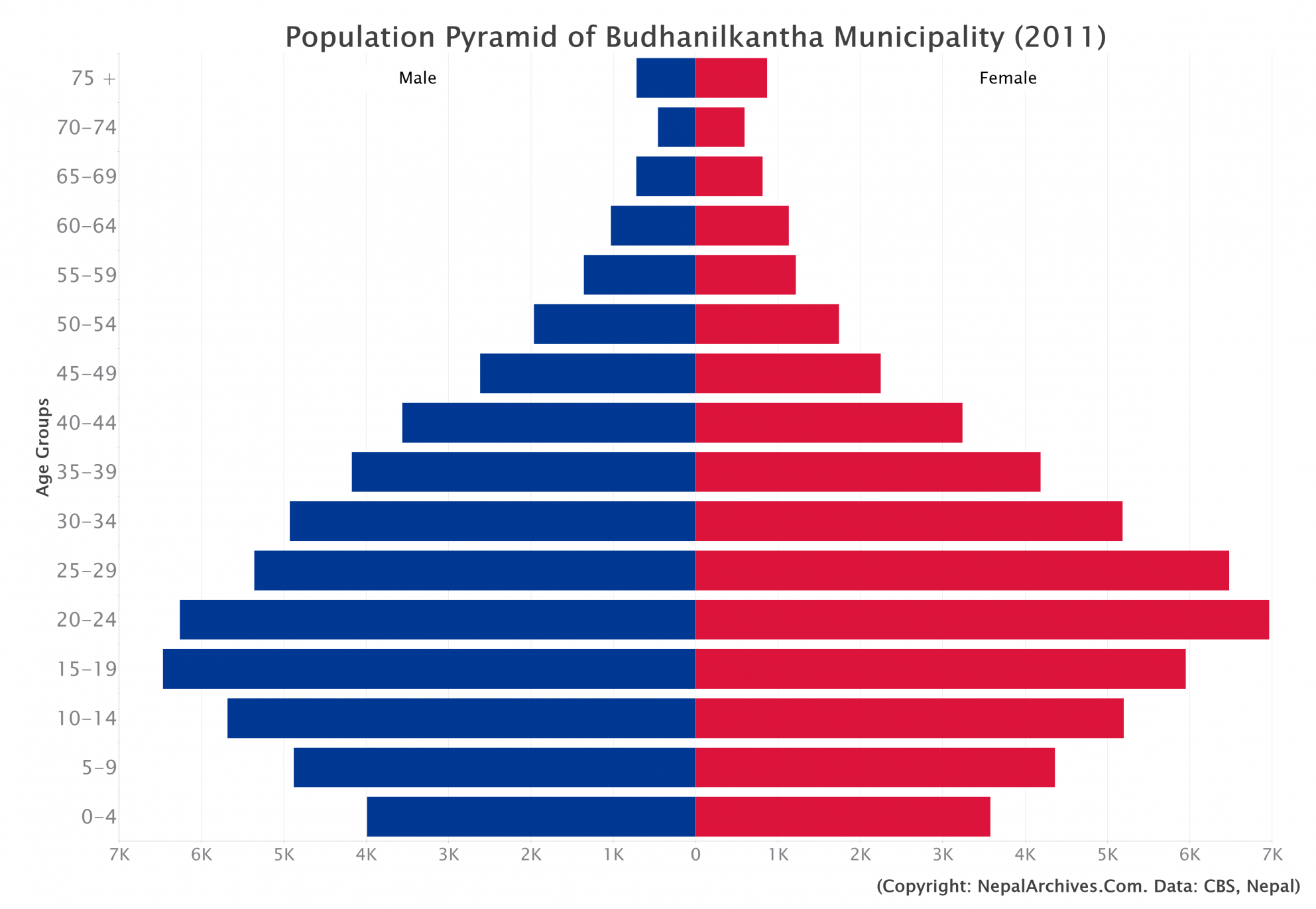 Population Pyramid of Budhanilkantha Municipality, Kathmandu District ...