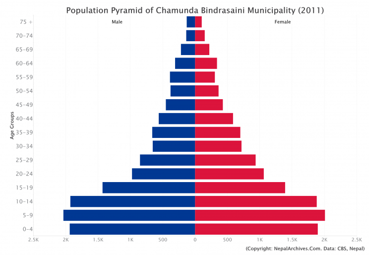 Population Pyramid of Chamunda Bindrasaini Municipality, Dailekh ...