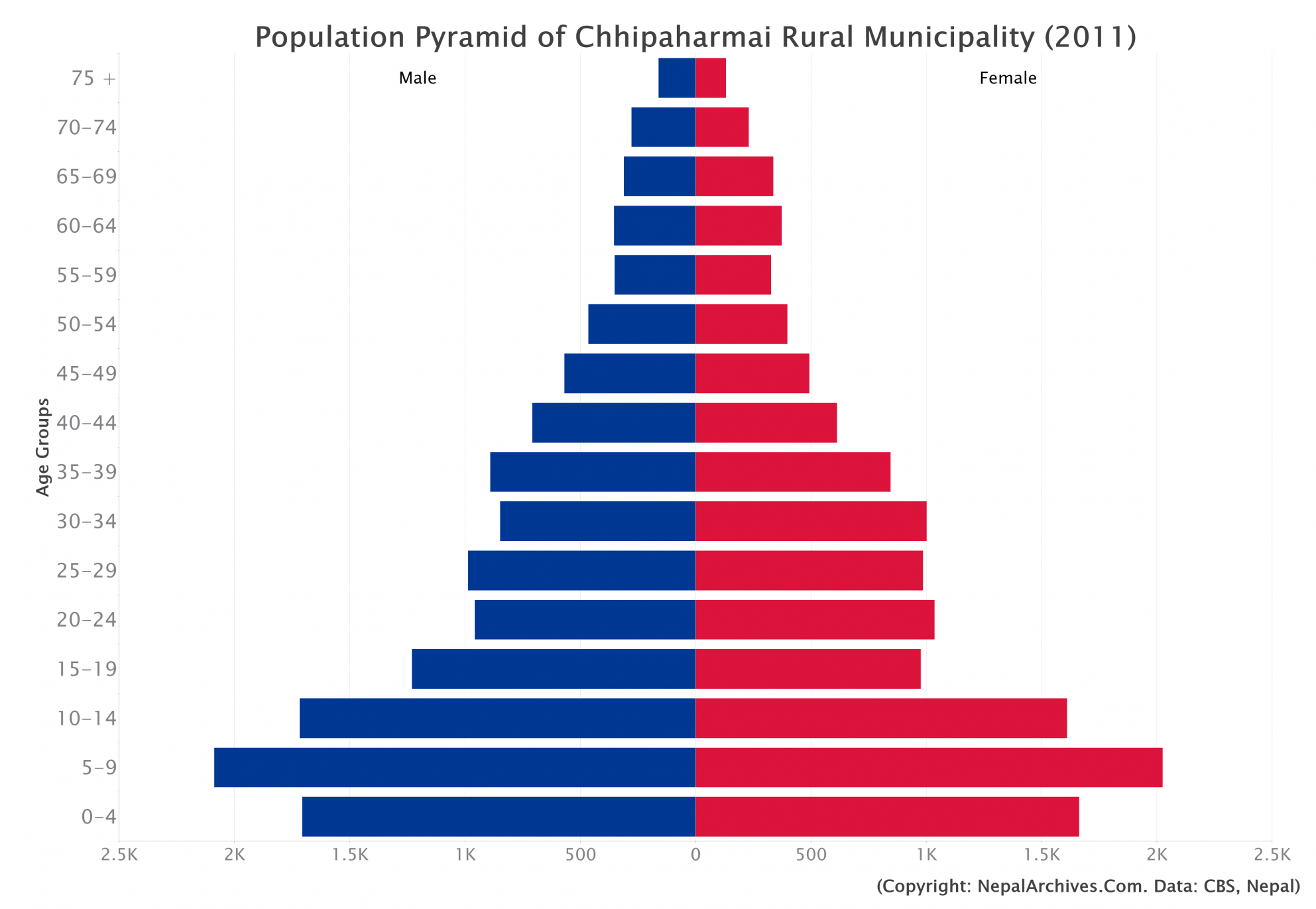 Population Pyramid of Chhipaharmai Rural Municipality, Parsa District ...