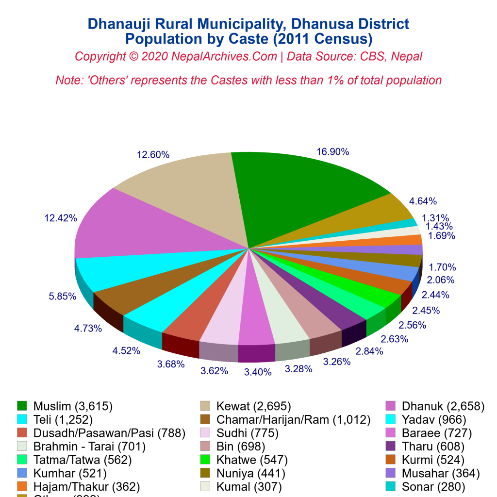 Caste-Based Population Pie Chart of Dhanauji Rural Municipality ...