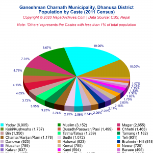 Caste-Based Population Pie Chart of Ganeshman Charnath Municipality ...