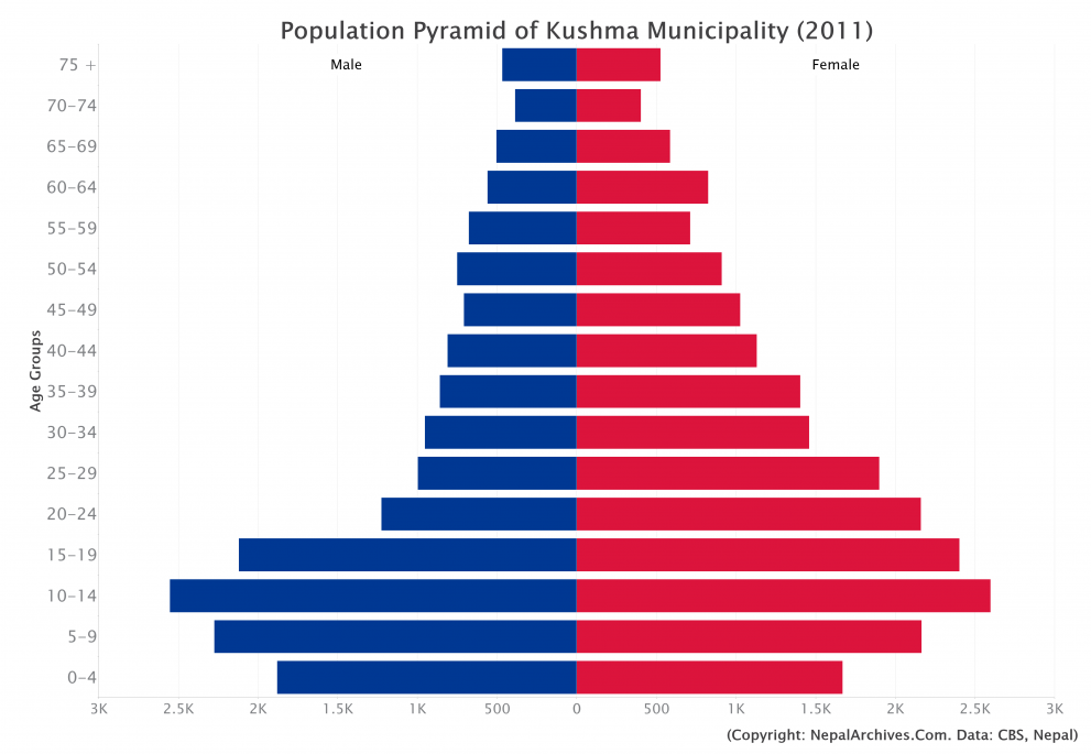 Population Pyramid of Kushma Municipality, Parbat District (2011 Census ...