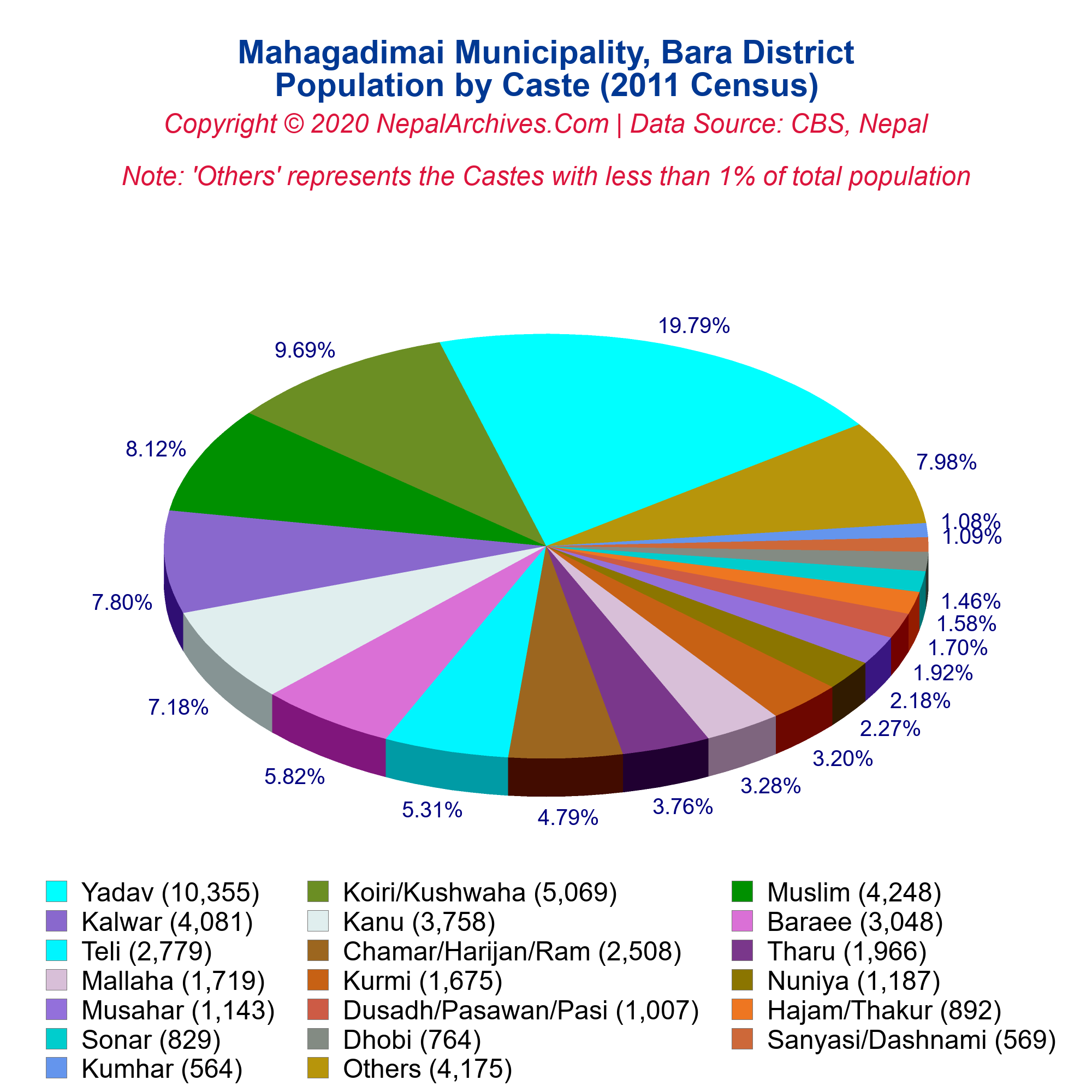 Caste-Based Population Pie Chart of Mahagadimai Municipality, Bara ...