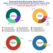 Pandavgufa Rural Municipality (Bajura) | Economic Census 2018