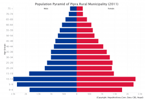 Pipra Rural Municipality Profile | Facts & Statistics – Nepal Archives