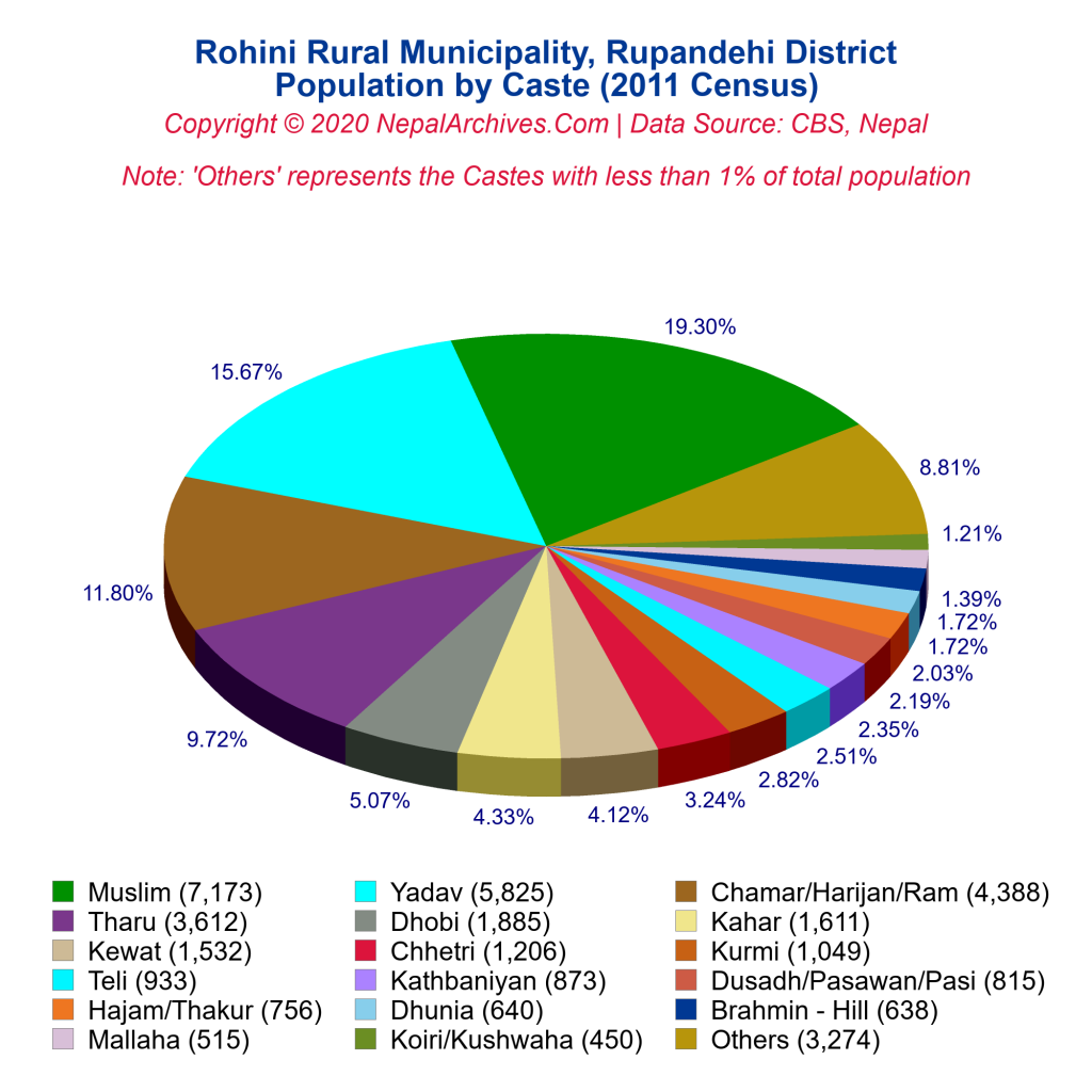 Rohini Rural Municipality Profile | Facts & Statistics – Nepal Archives