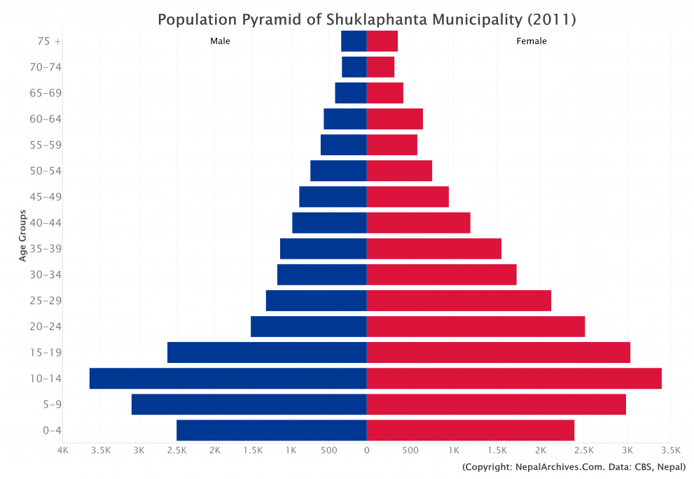 Population Pyramid of Shuklaphanta Municipality, Kanchanpur District ...