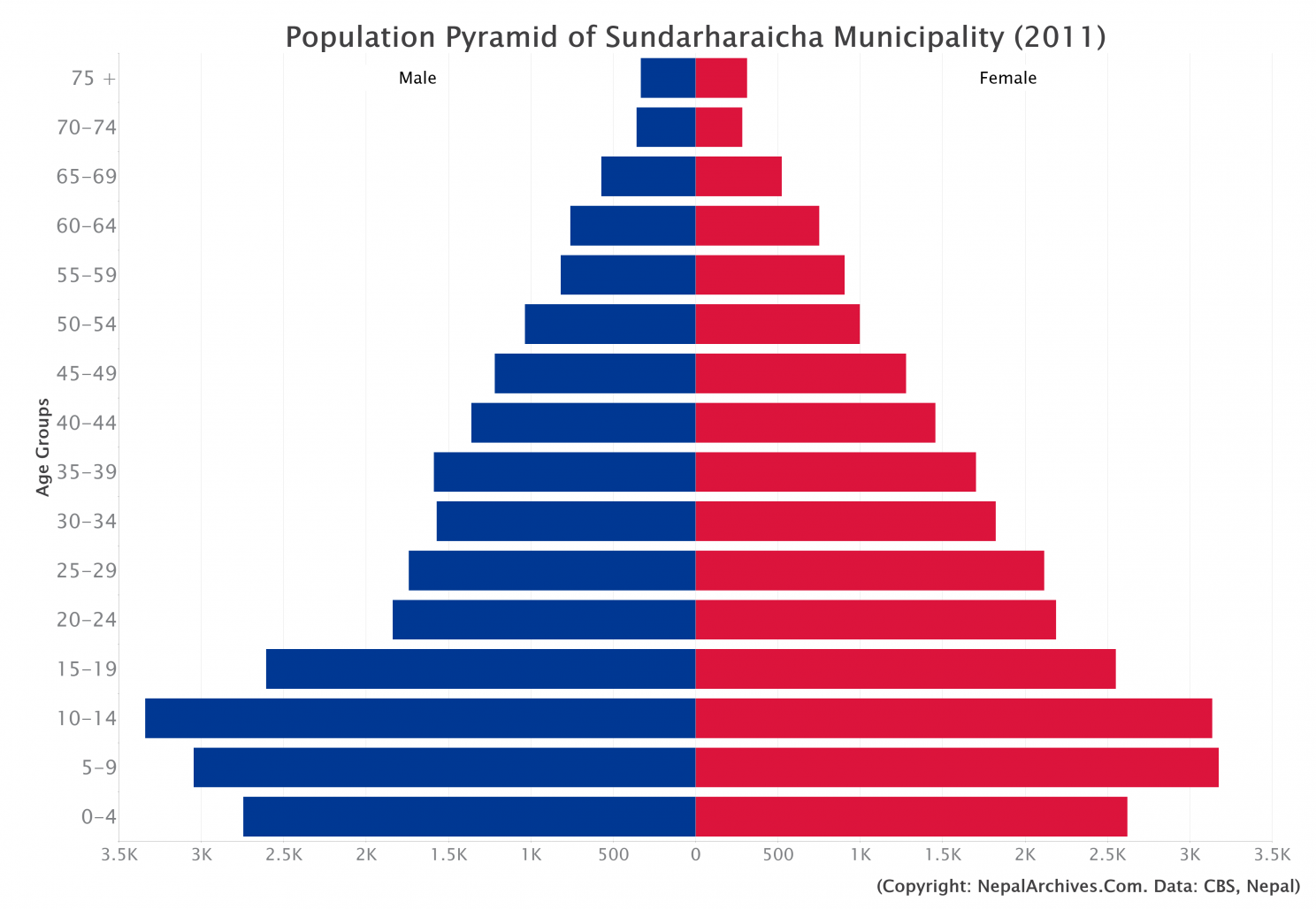 Population Pyramid of Sundarharaicha Municipality, Morang District ...