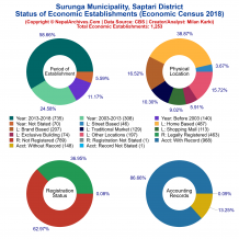 Surunga Municipality (Saptari) | Economic Census 2018