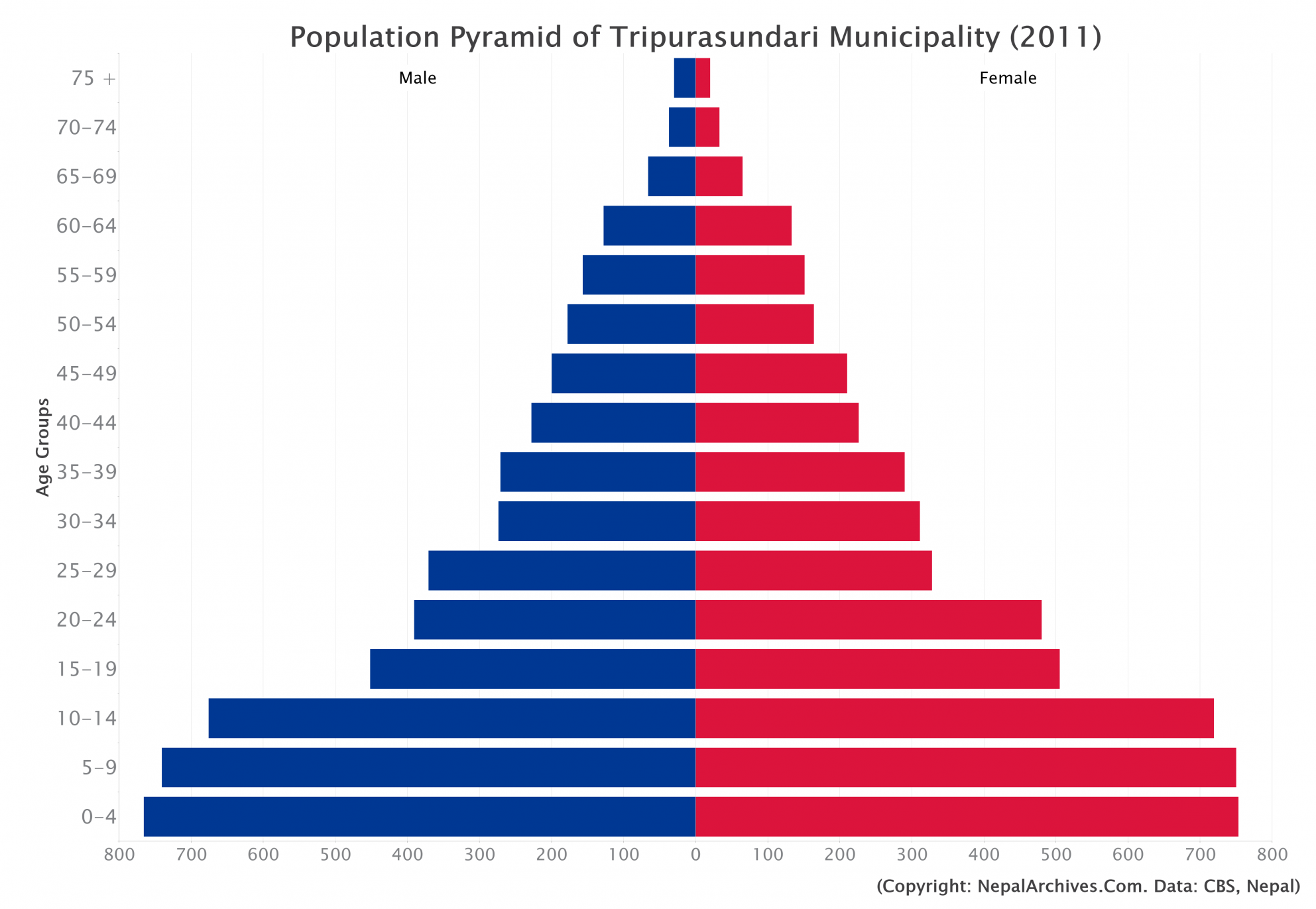 Population Pyramid of Tripurasundari Municipality, Dolpa District (2011 ...