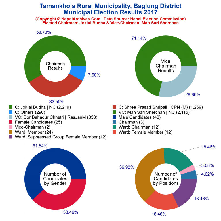 2017 local body election results piechart of Tamankhola Rural Municipality