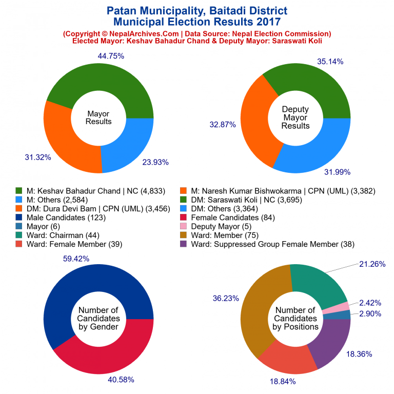 2017 local body election results piechart of Patan Municipality