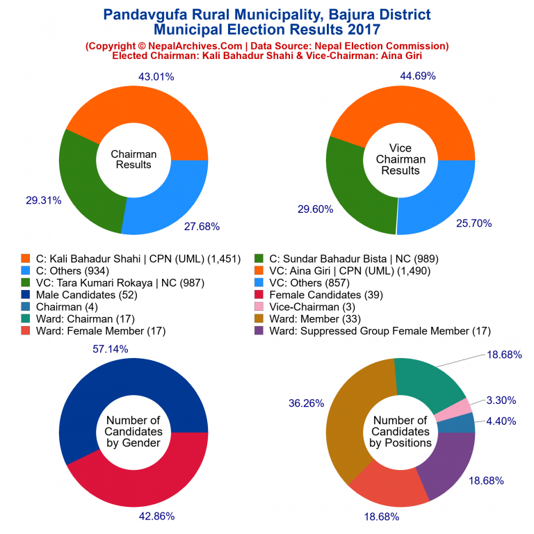 2017 local body election results piechart of Pandavgufa Rural Municipality