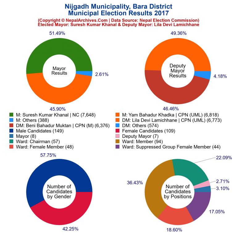 2017 local body election results piechart of Nijgadh Municipality