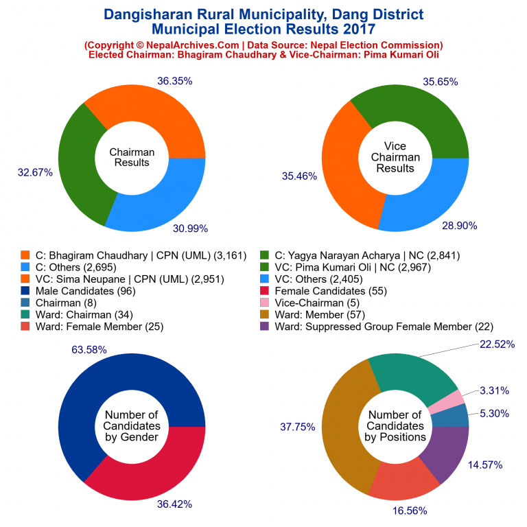 2017 local body election results piechart of Dangisharan Rural Municipality