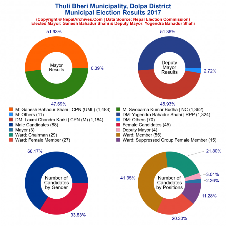 2017 local body election results piechart of Thuli Bheri Municipality