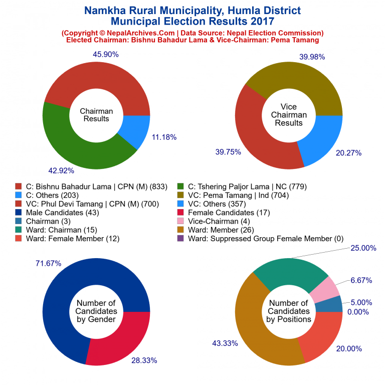 2017 local body election results piechart of Namkha Rural Municipality