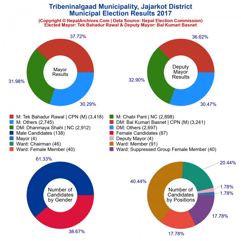 2017 local body election results piechart of Tribeninalgaad Municipality