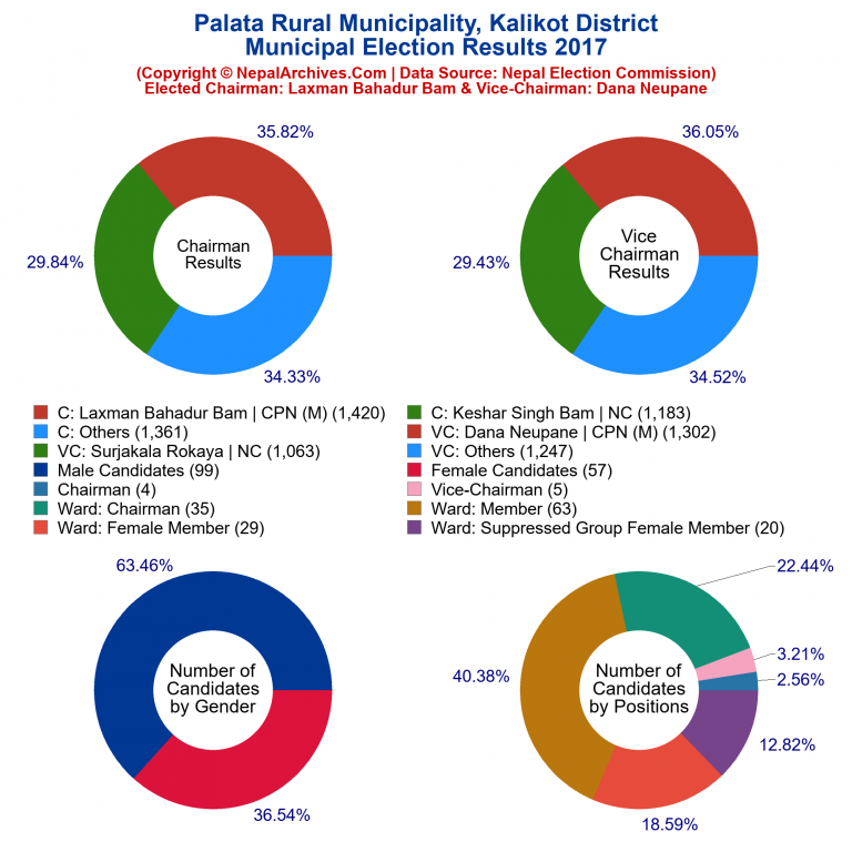 2017 local body election results piechart of Palata Rural Municipality