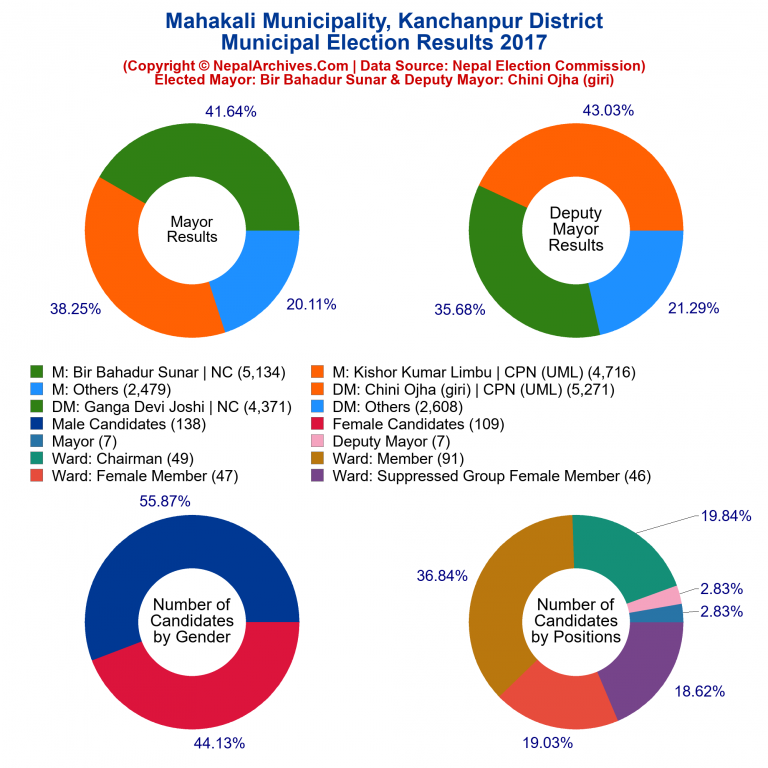 2017 local body election results piechart of Mahakali Municipality