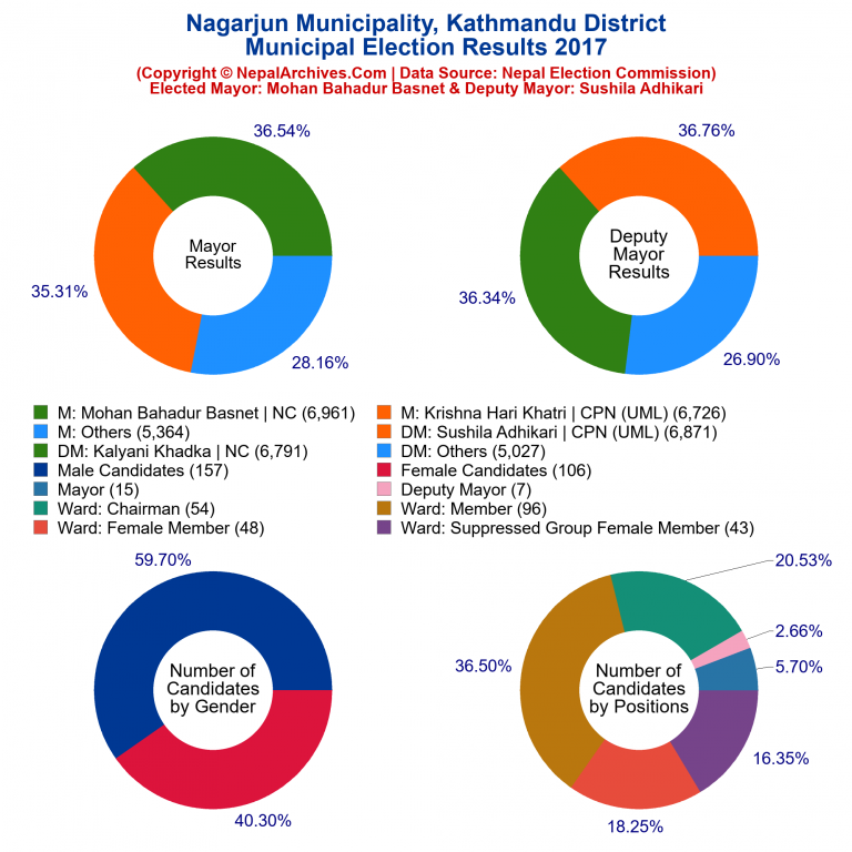 2017 local body election results piechart of Nagarjun Municipality