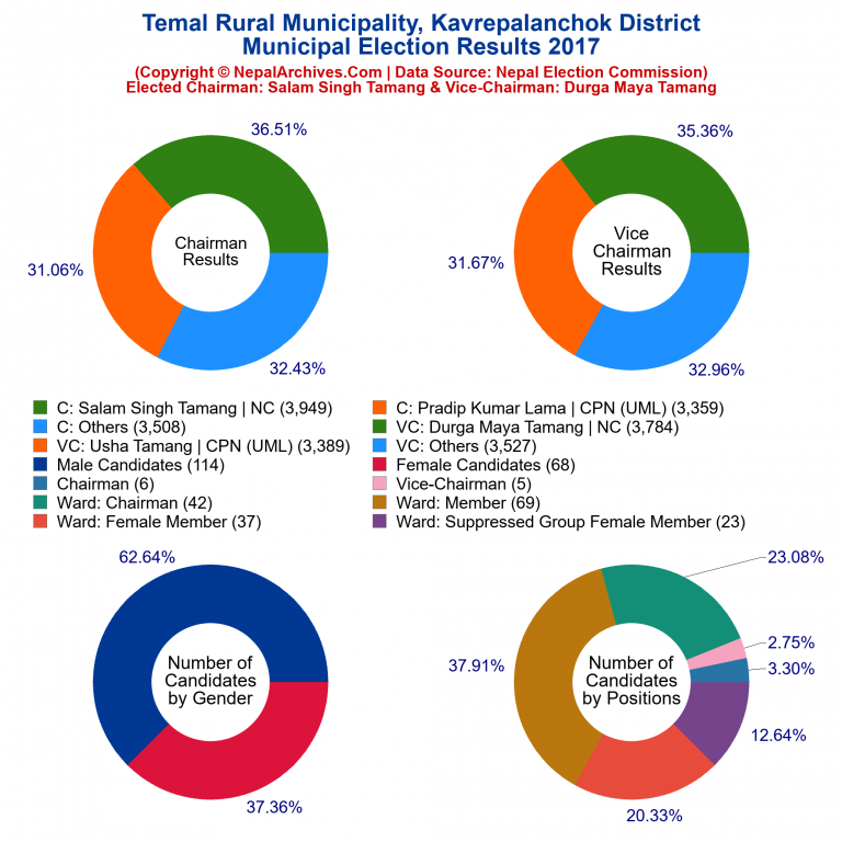 2017 local body election results piechart of Temal Rural Municipality