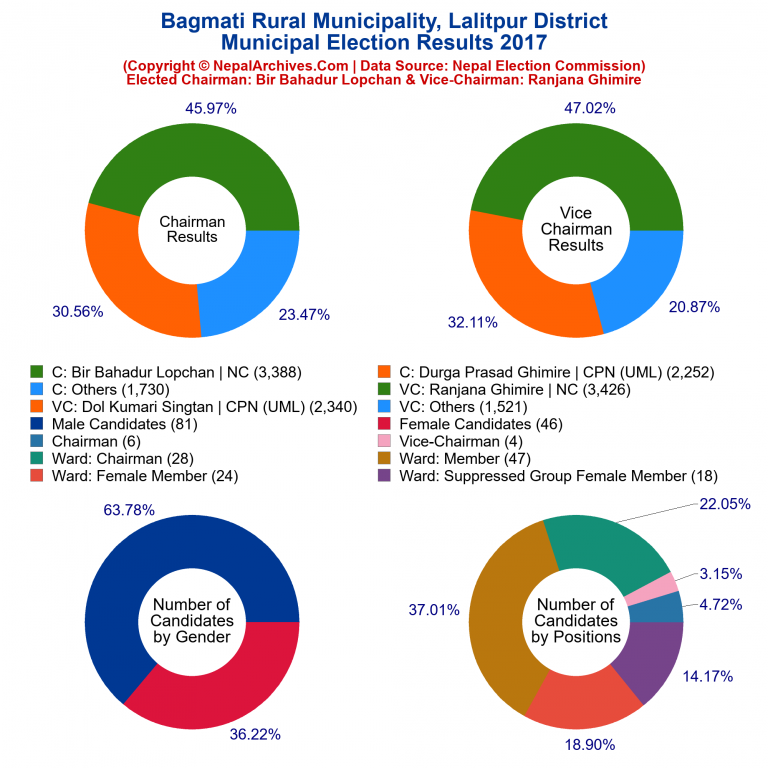 2017 local body election results piechart of Bagmati Rural Municipality