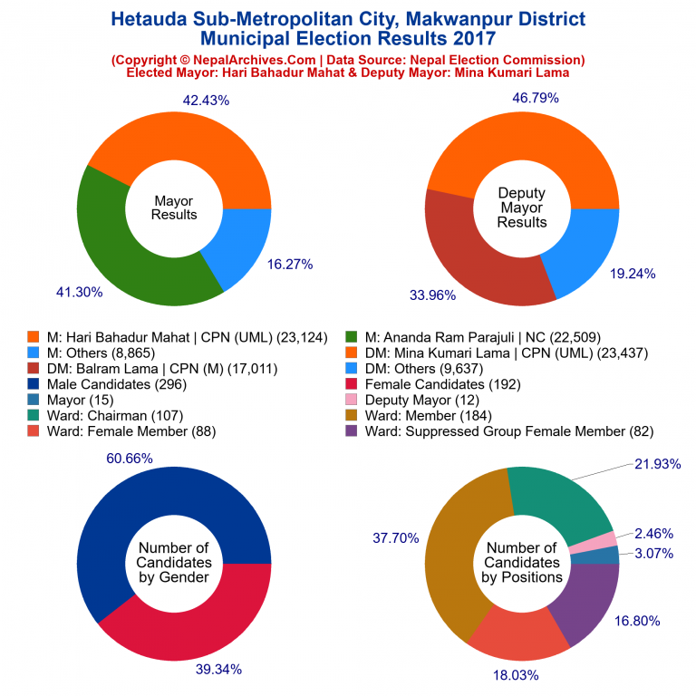 2017 local body election results piechart of Hetauda Sub-Metropolitan City