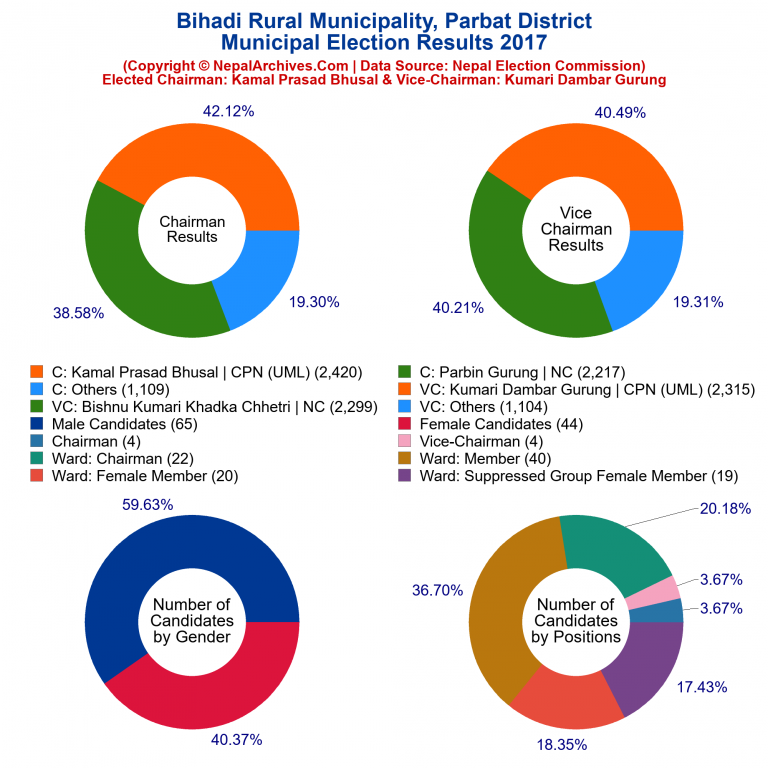 2017 local body election results piechart of Bihadi Rural Municipality