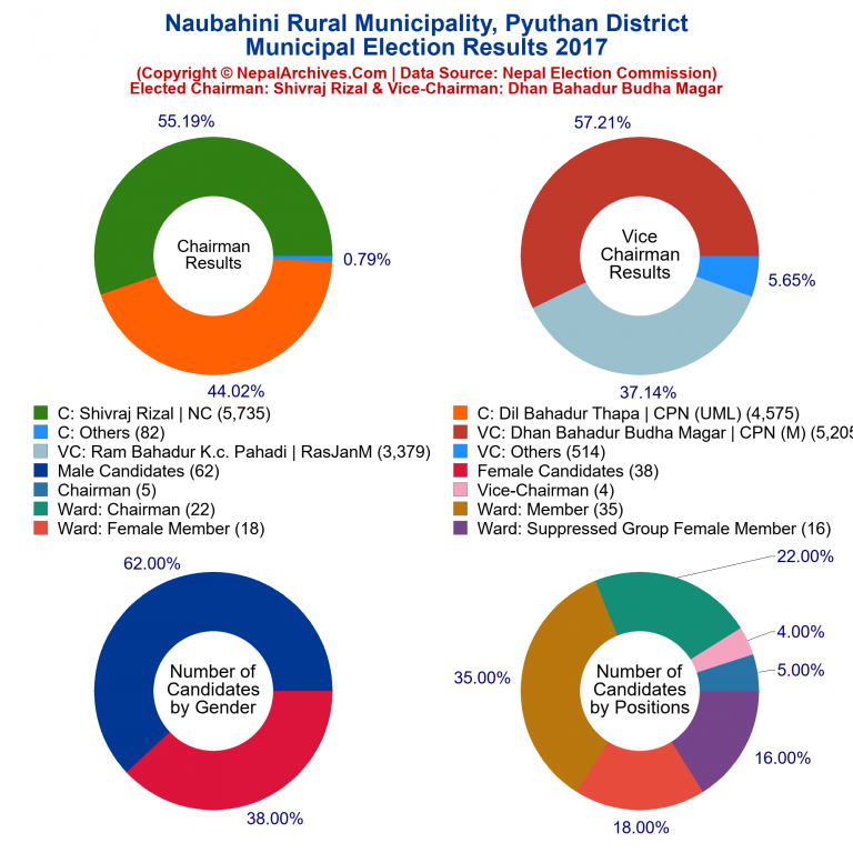 2017 local body election results piechart of Naubahini Rural Municipality