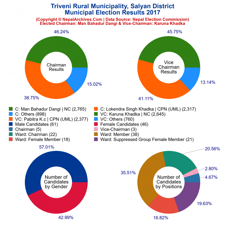 2017 local body election results piechart of Triveni Rural Municipality