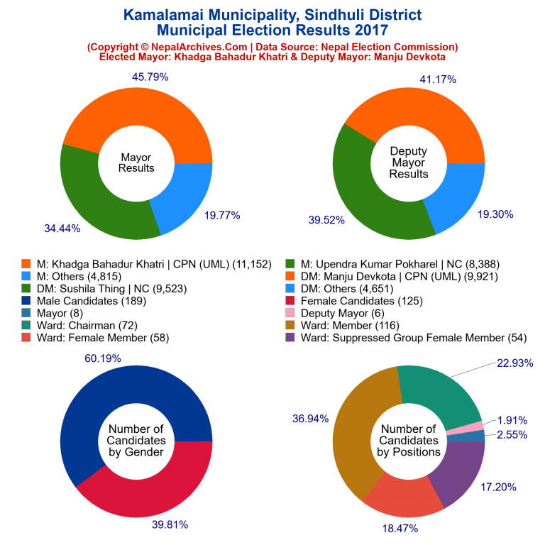 2017 local body election results piechart of Kamalamai Municipality