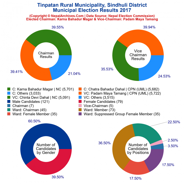 2017 local body election results piechart of Tinpatan Rural Municipality