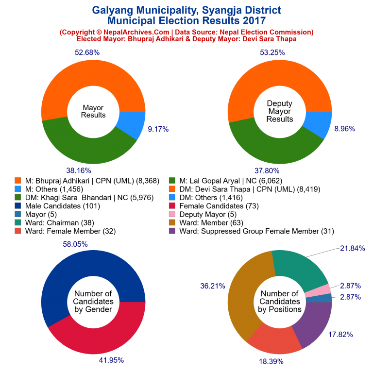 2017 local body election results piechart of Galyang Municipality